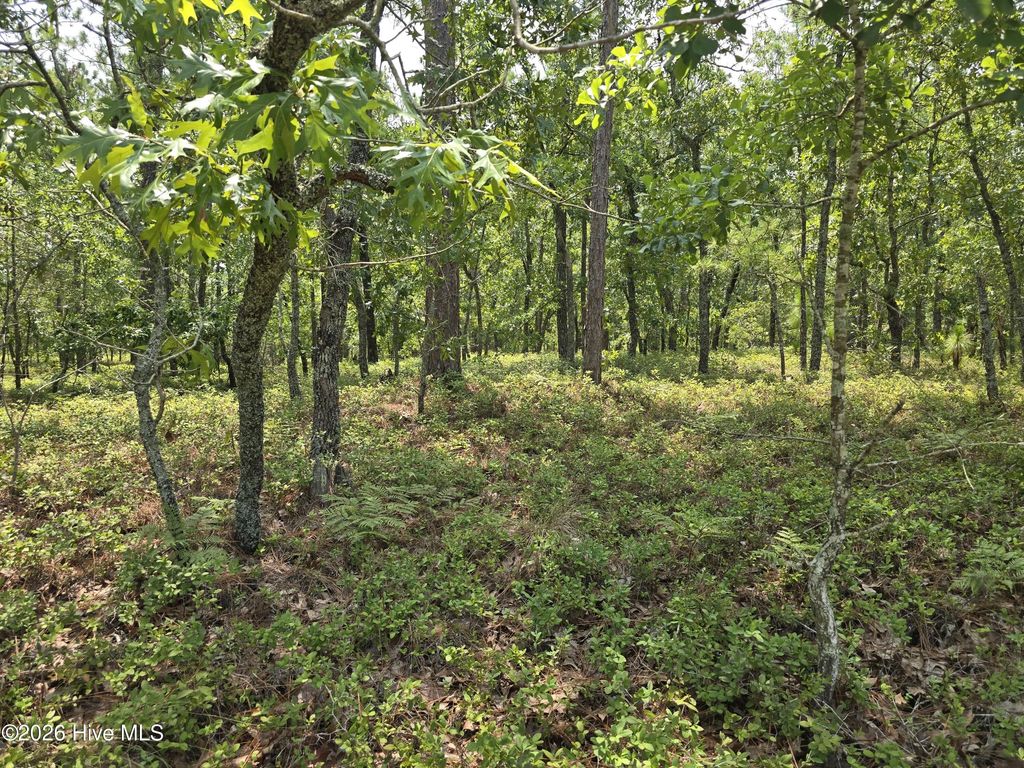 Lot 10 Woola Woola Lane, Grantsboro