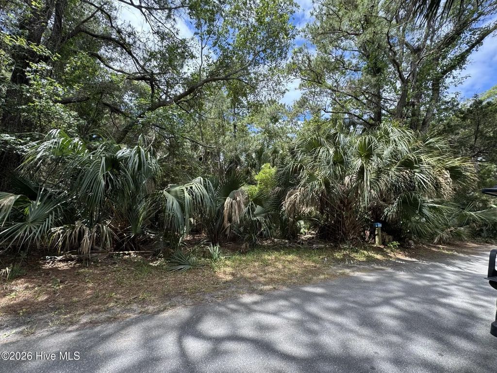 8 Dowitcher Trail, Bald Head Island