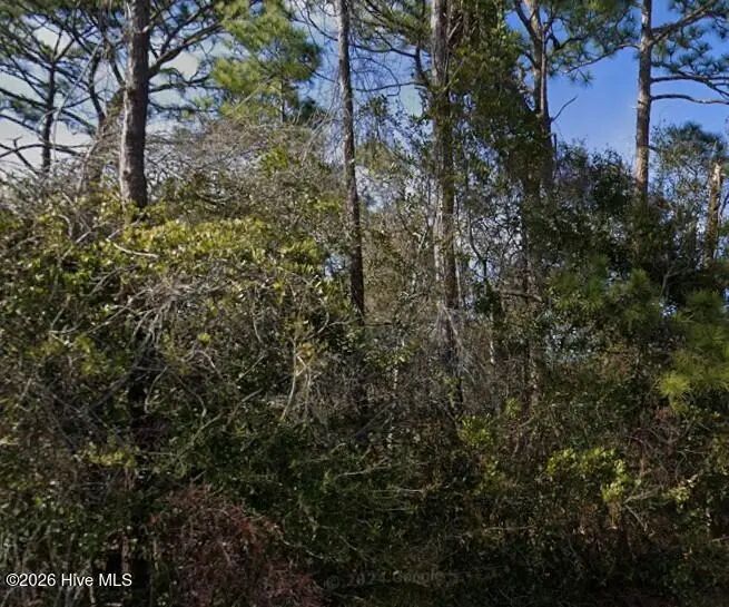 107 Ne 17th Street, Oak Island Wooded