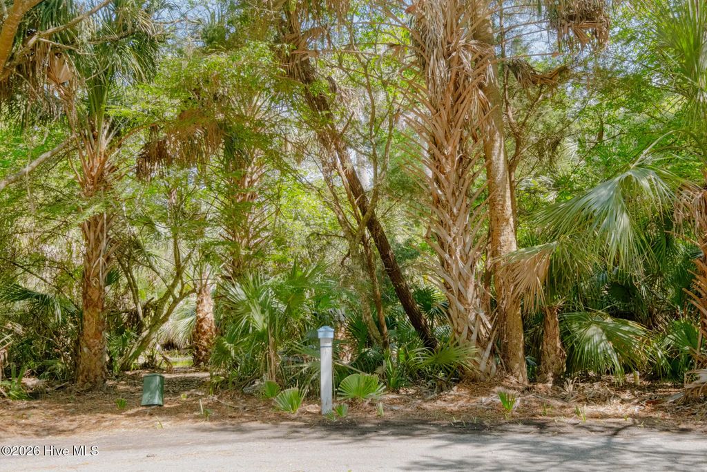 4 Gray Fox Court, Bald Head Island