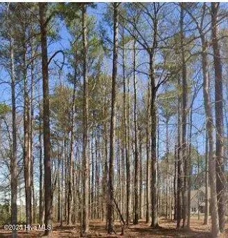 310 Choptank Drive, Chocowinity