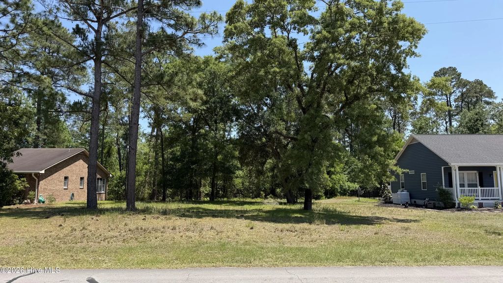 808 Black Swan Road, New Bern