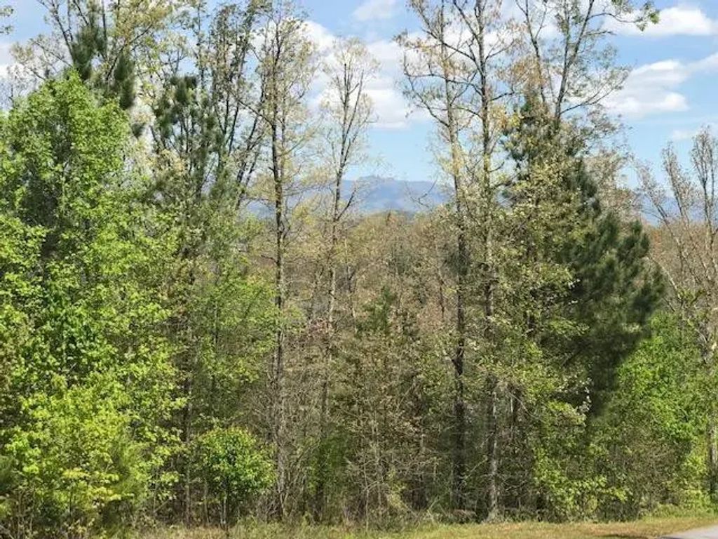 Lot 29 Brasstown View Road, Murphy