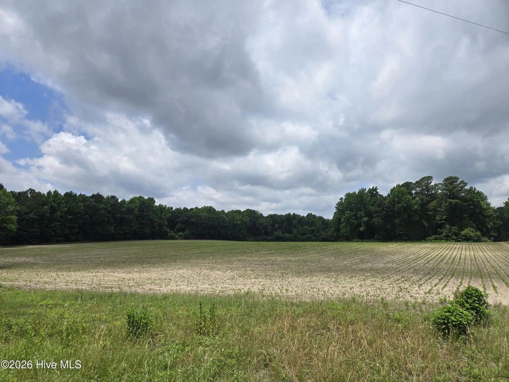 0 Ballard Road, Williamston