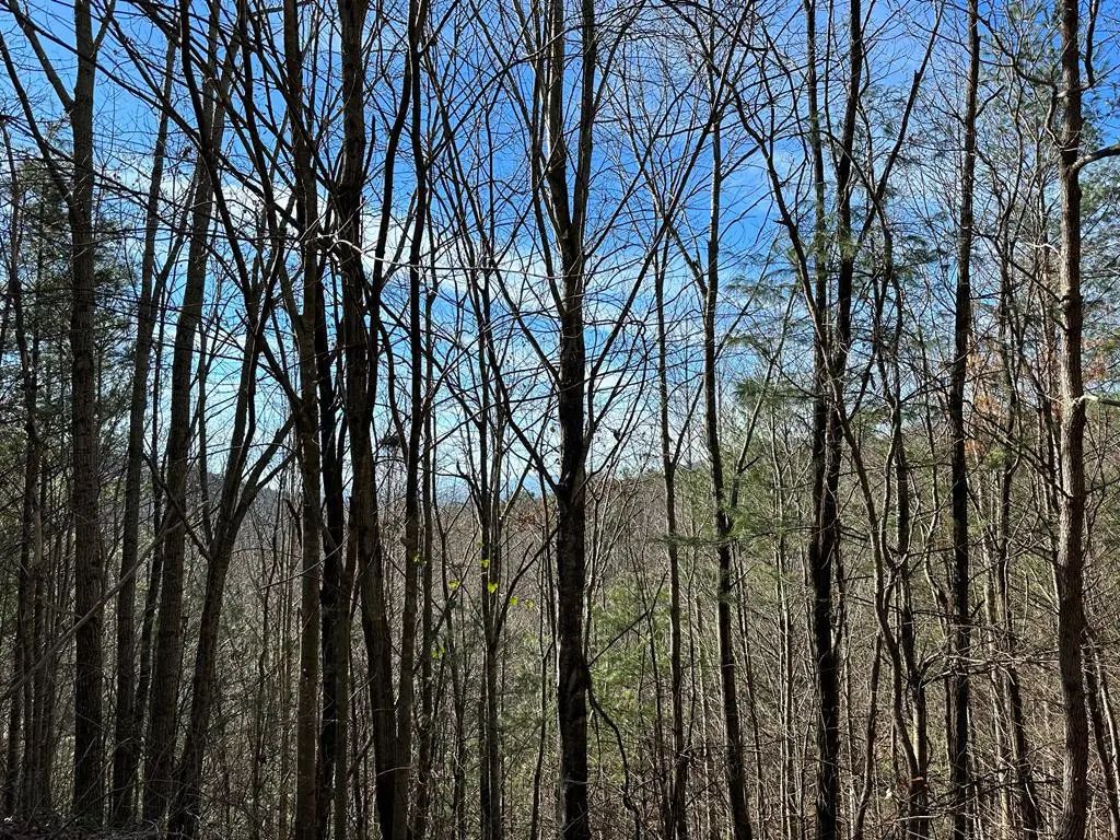 5 Lots Ali Drive, Hayesville