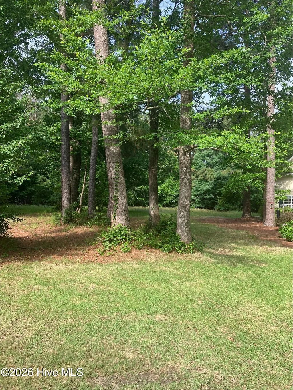 157 Southern Magnolia Lane, Wallace