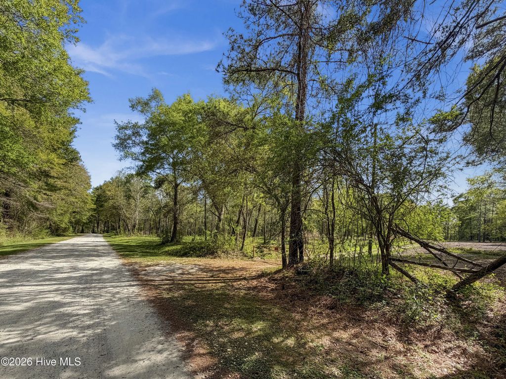 196 Quiet Water Drive, Chinquapin