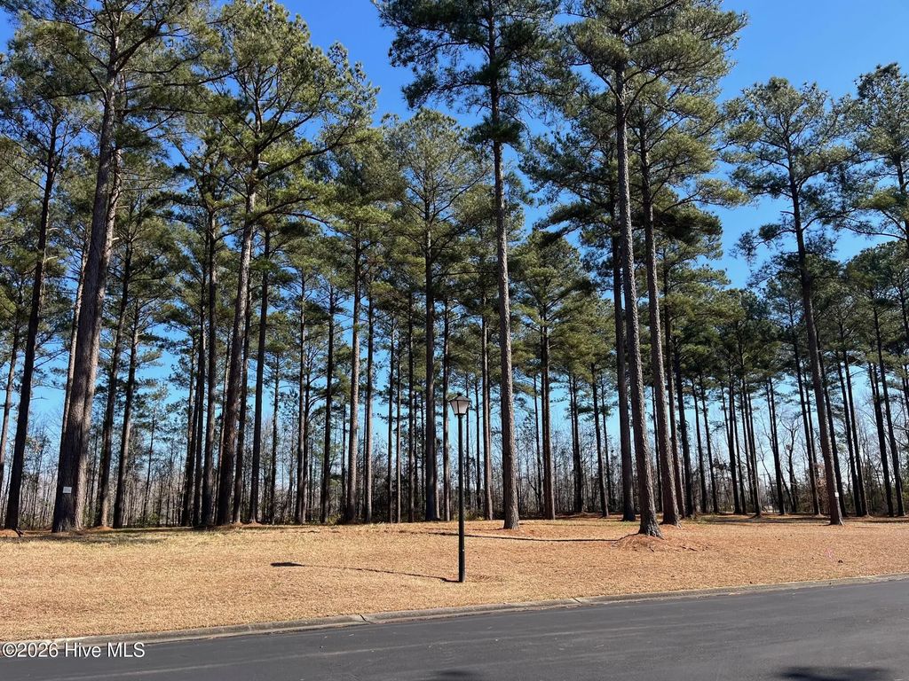 23 Bald Head Island Court S, Oriental