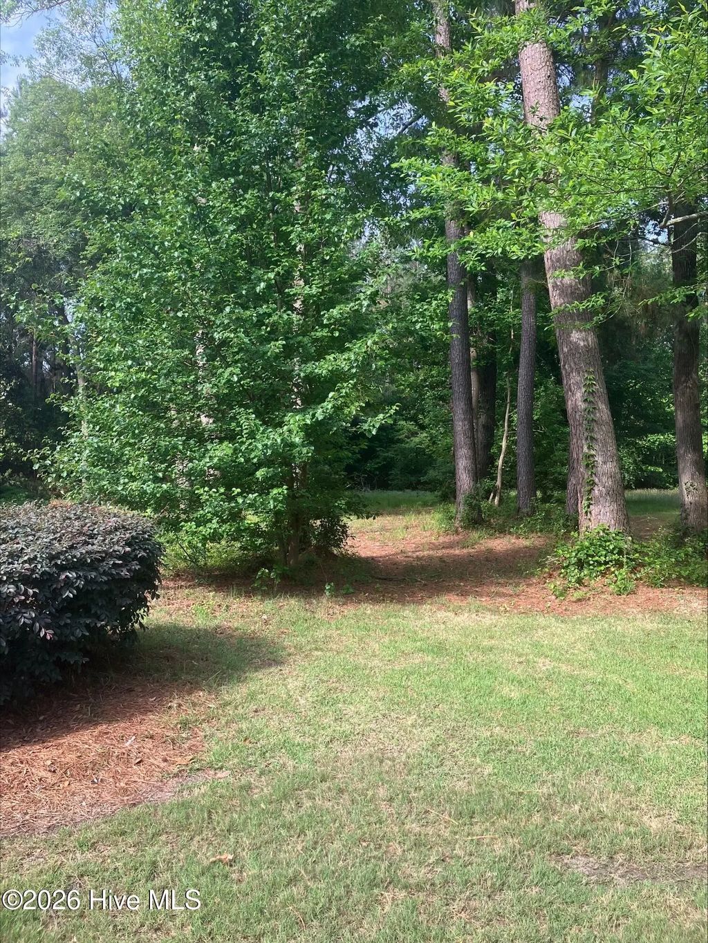 155 Southern Magnolia Lane, Wallace