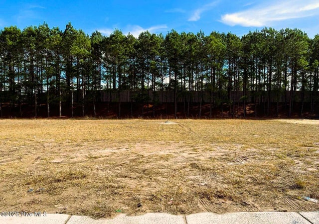 2197 Palm Pointe Ne, Leland