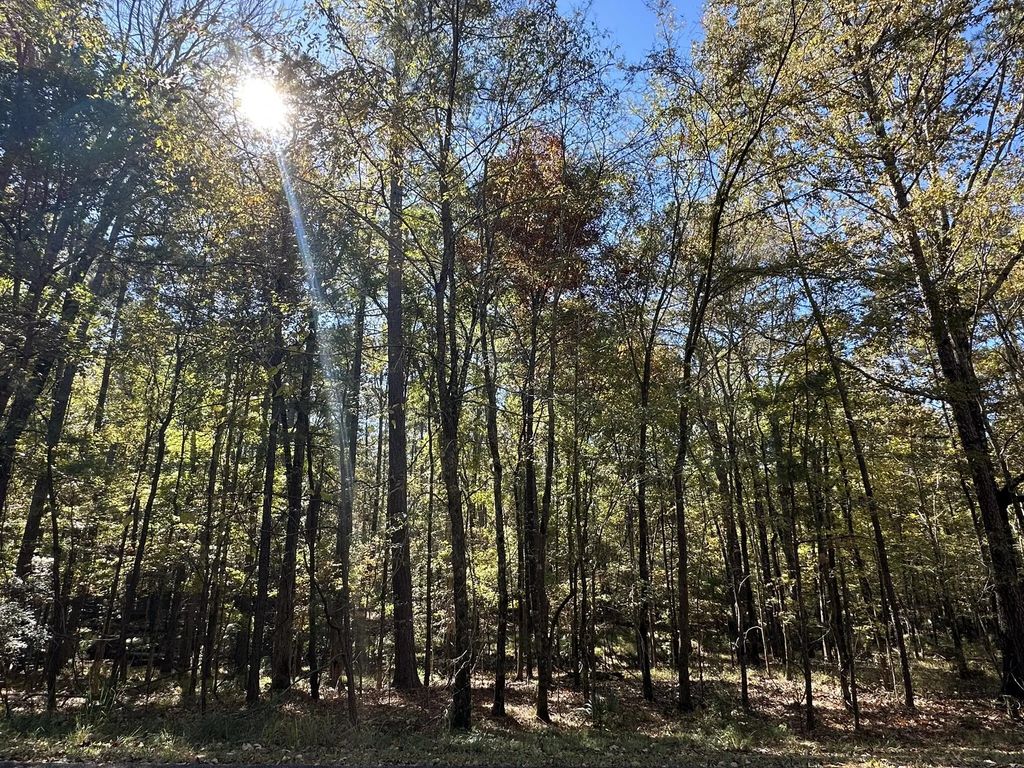 167 Southwind Drive, McCormick