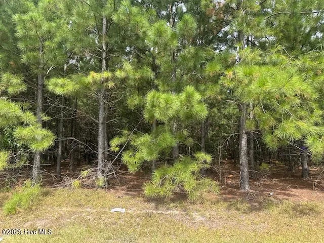 N/A, Jackson Springs