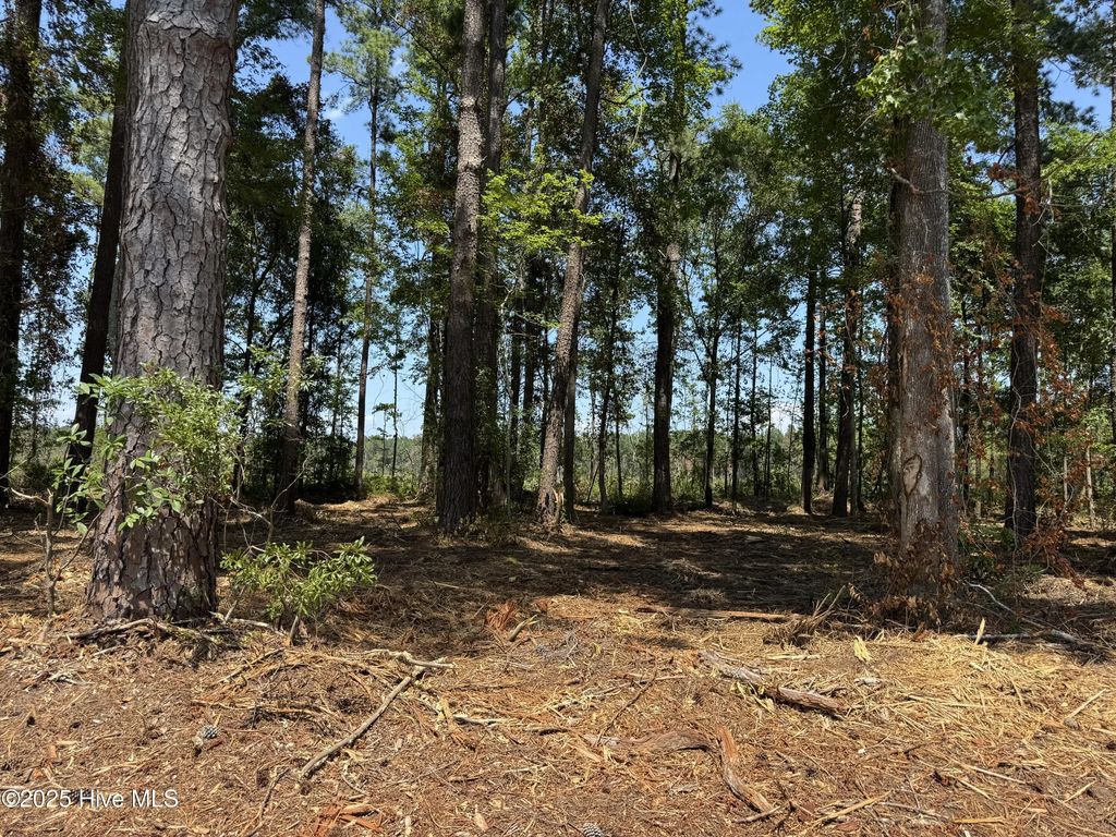 Lot 6 Near 4102 Swamp Fox Highway W, Tabor City