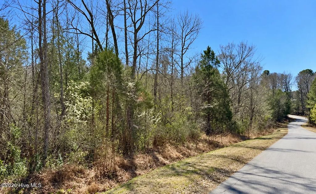 132 Bill Thomas Road, Moncure