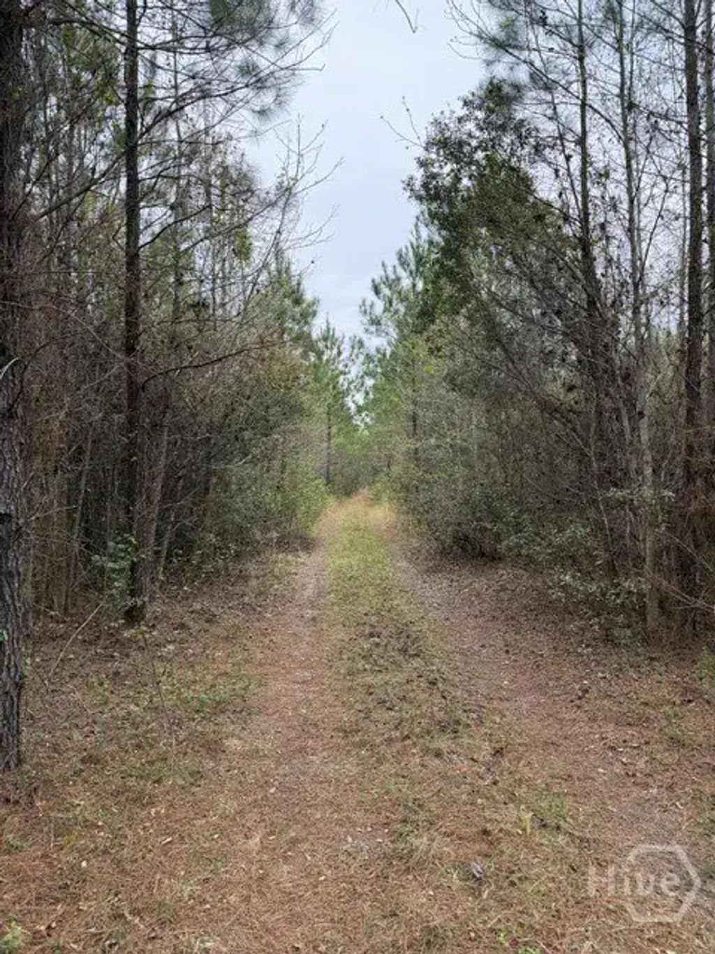 001 Race Path, Rincon