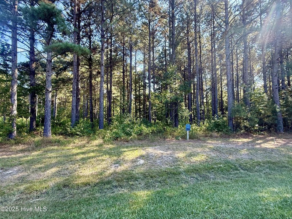 408 Plumtree Circle, Edenton