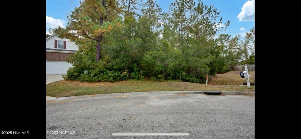 5117 Chalice Lane, Wilmington