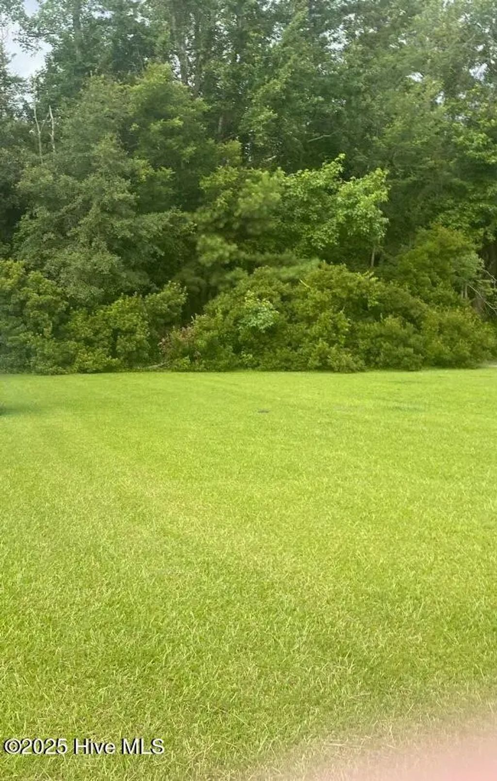 Near 702 Conway Road, Fair Bluff