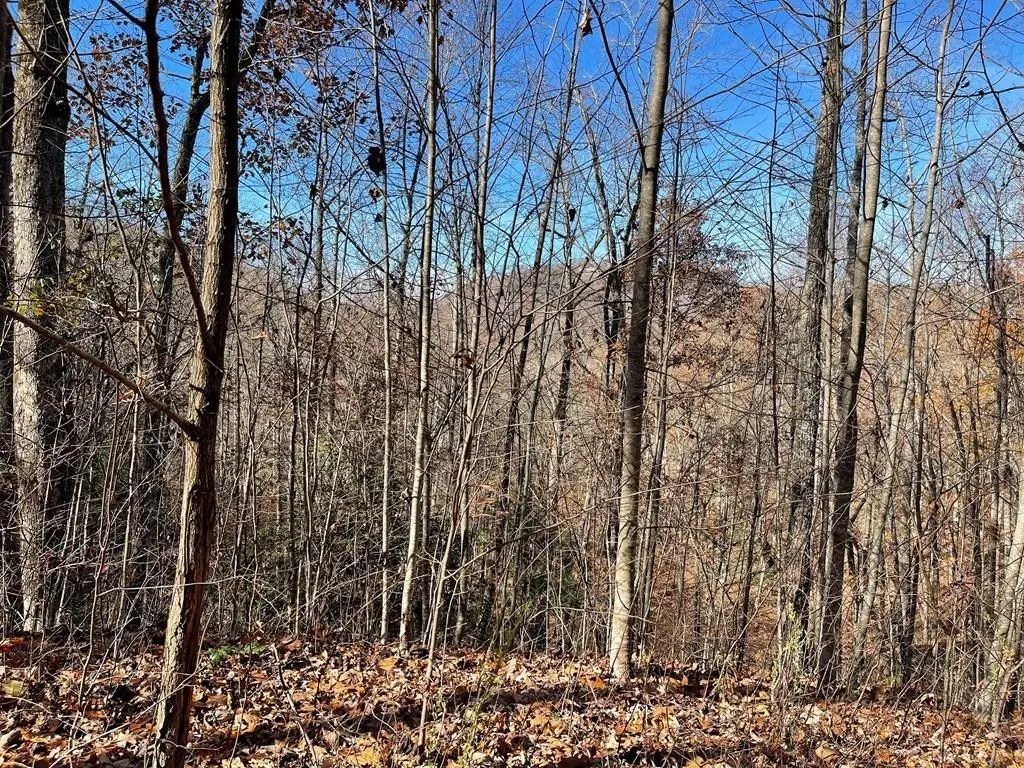 Lot 49j Indian Trail, Hayesville
