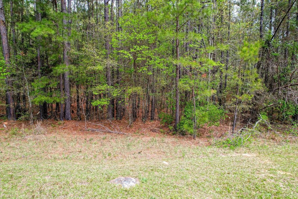 1078 Clinton-williams Road, Lincoln