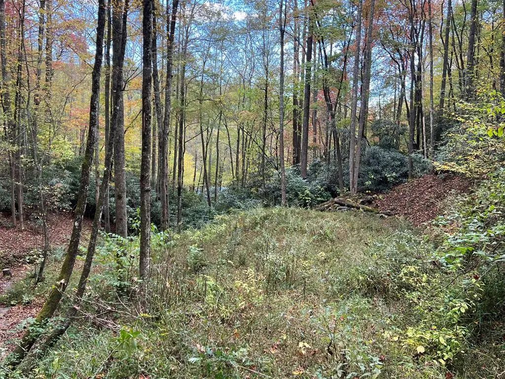 Lot 17 Black Bear Trail, Nantahala