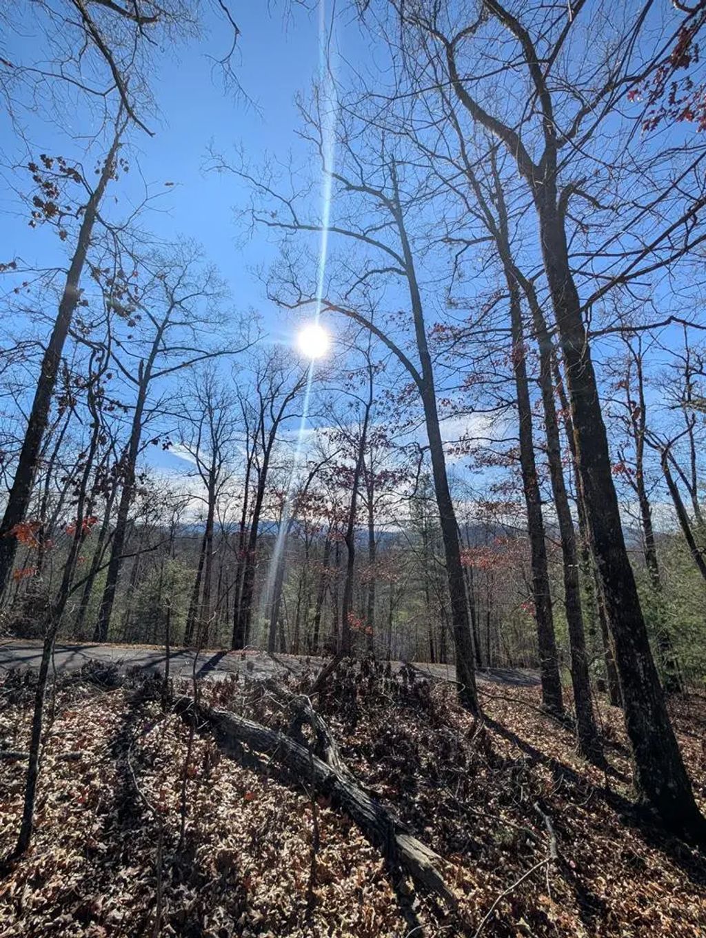 Lot 31 Tower Falls Lane, Fires Creek