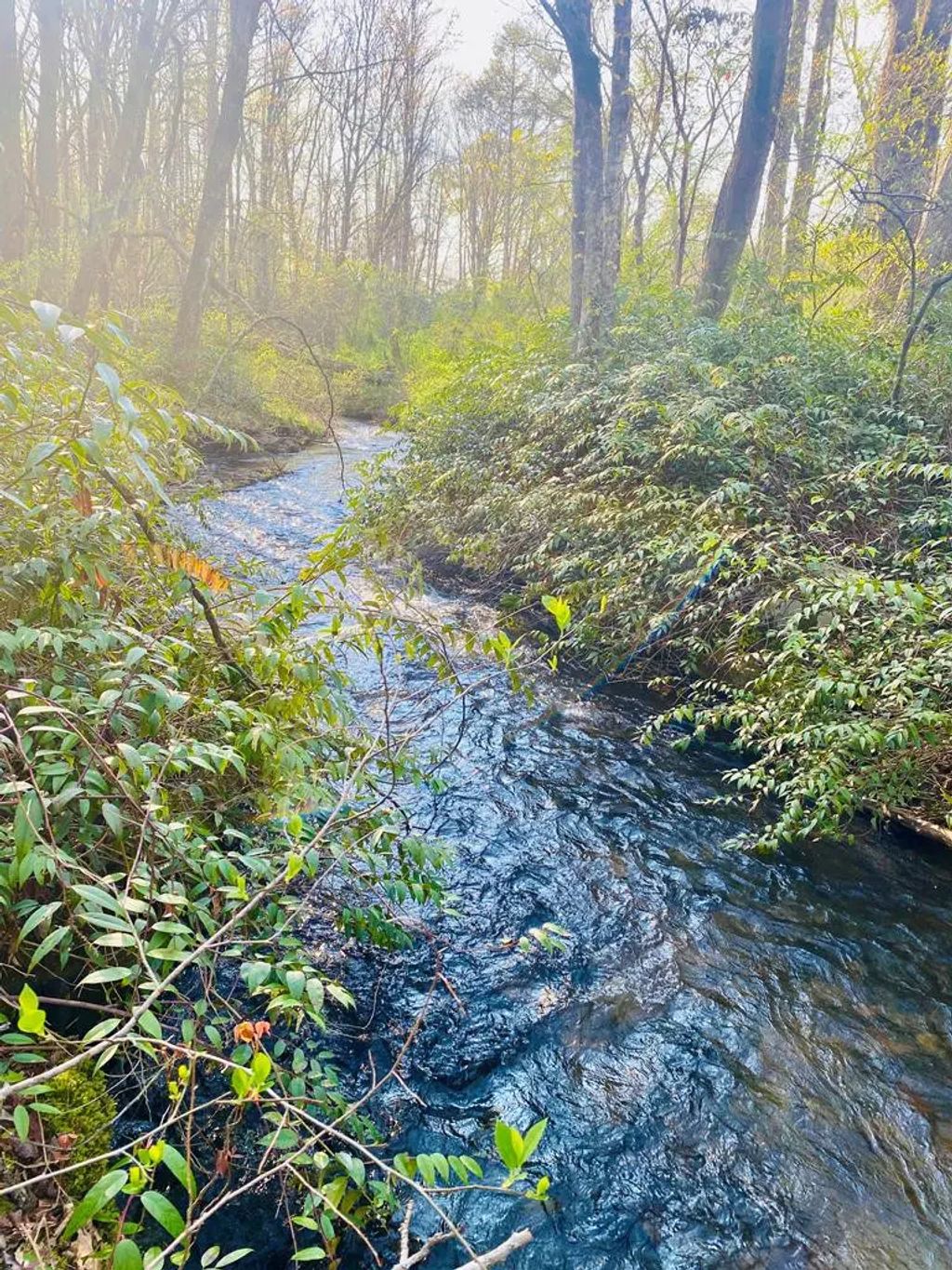 Lot 5 Carringer Road, Robbinsville