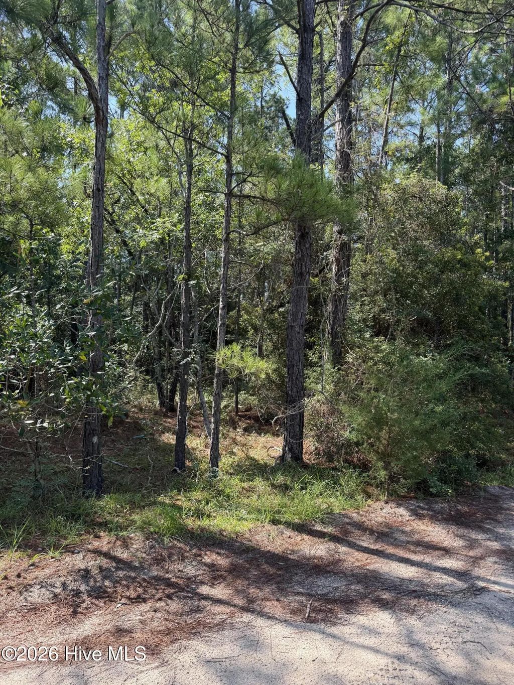2861 Robin Drive Sw, Shallotte
