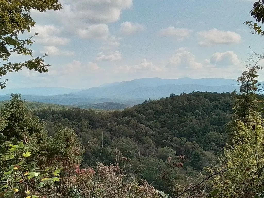 End Of Tanglewood Ridge, Murphy