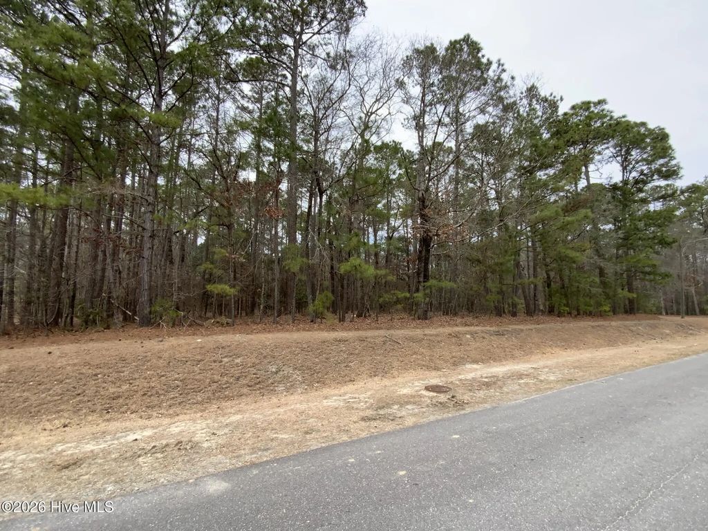 101 Long Leaf Lane, Goldsboro