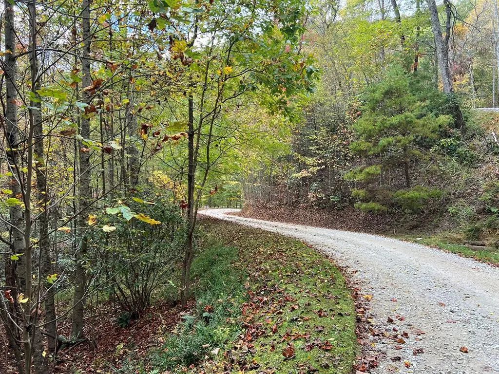 Lot 18 Black Bear Trail, Nantahala