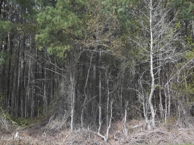 Tbd Griffin Swamp Road, Elizabeth City