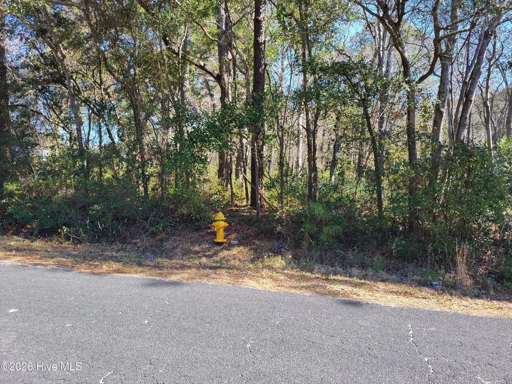 0 Shell Landing Road Sw, Supply