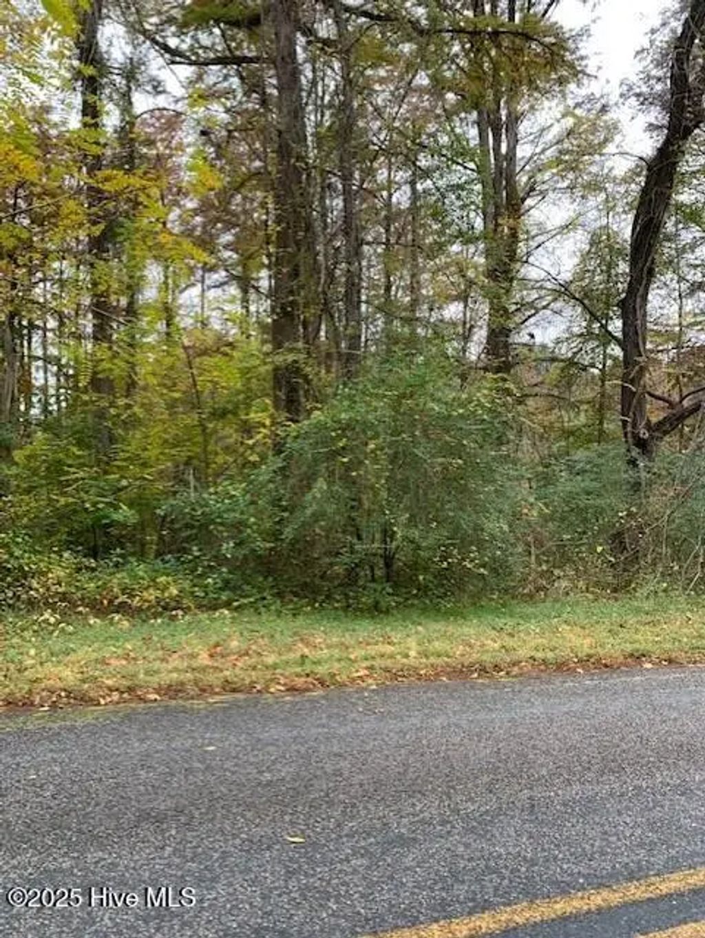 Tbd Swains Mill Road, Harrellsville
