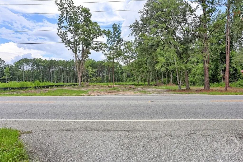 2698 Ga Highway 119 Highway S, Guyton