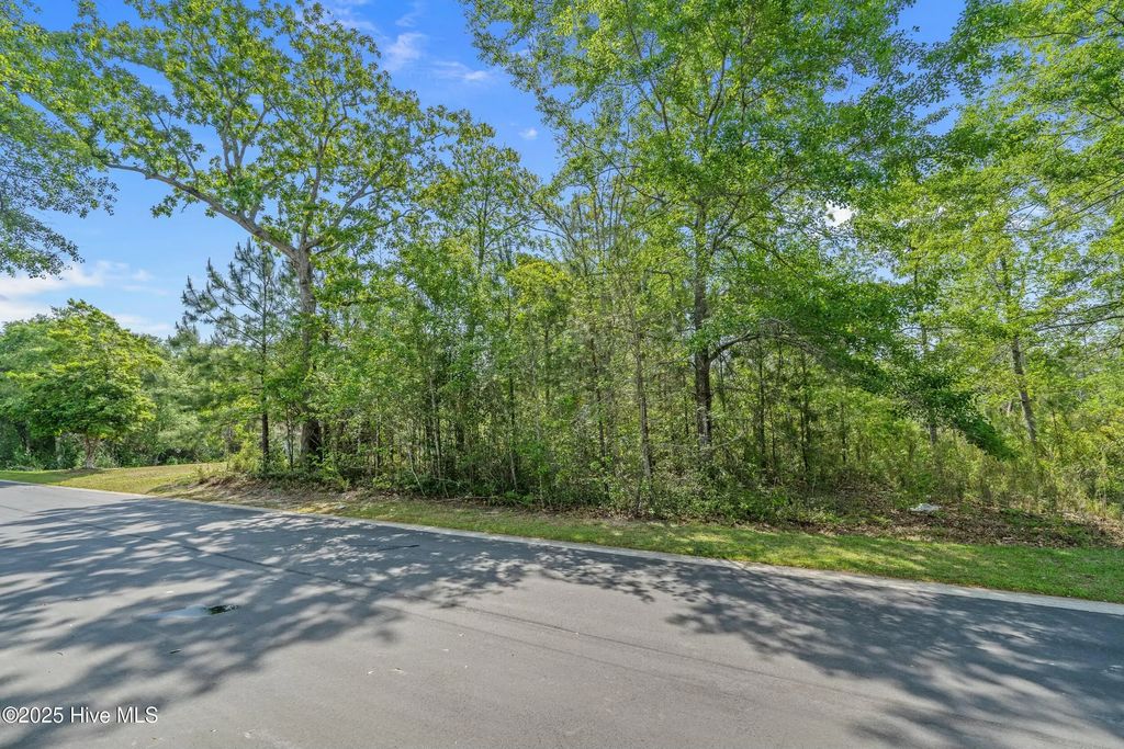 3088 Brackenbury Street Sw, Shallotte