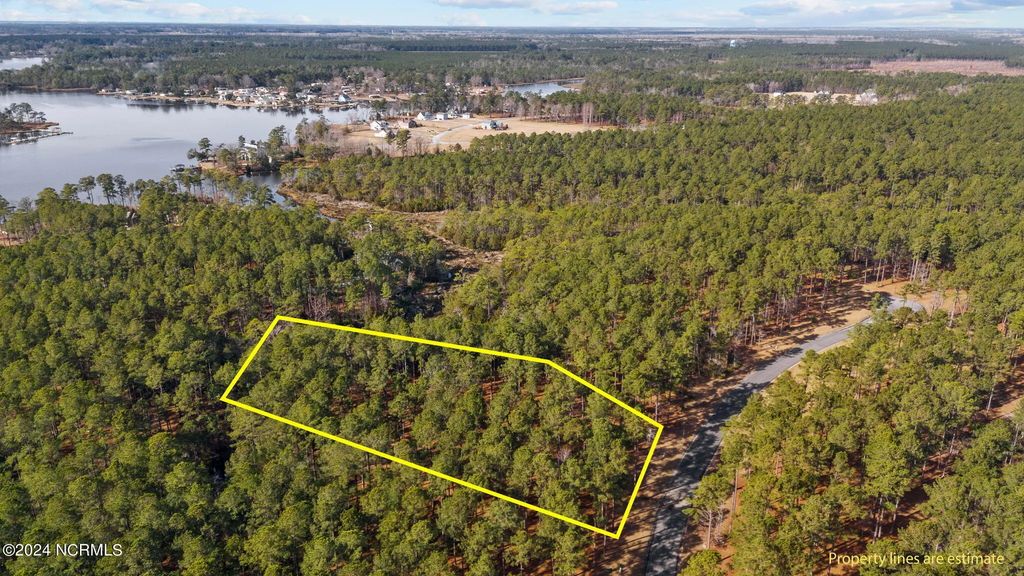 137 Ocracoke Drive, Oriental
