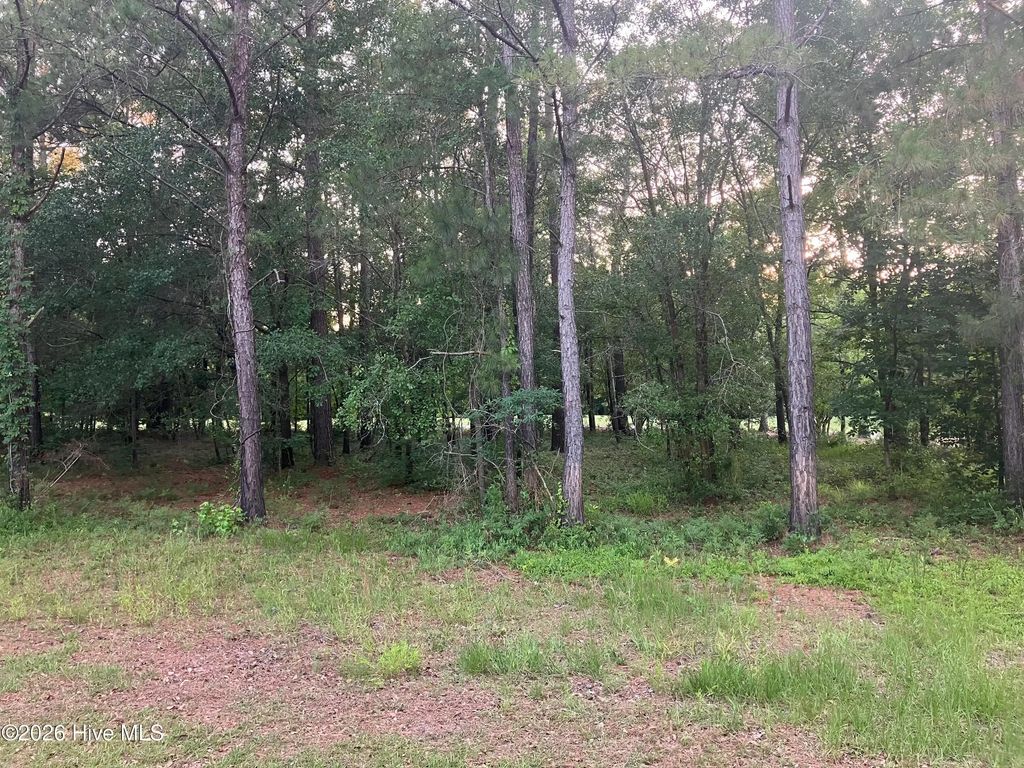 112 Riverstone Run Drive, Wallace