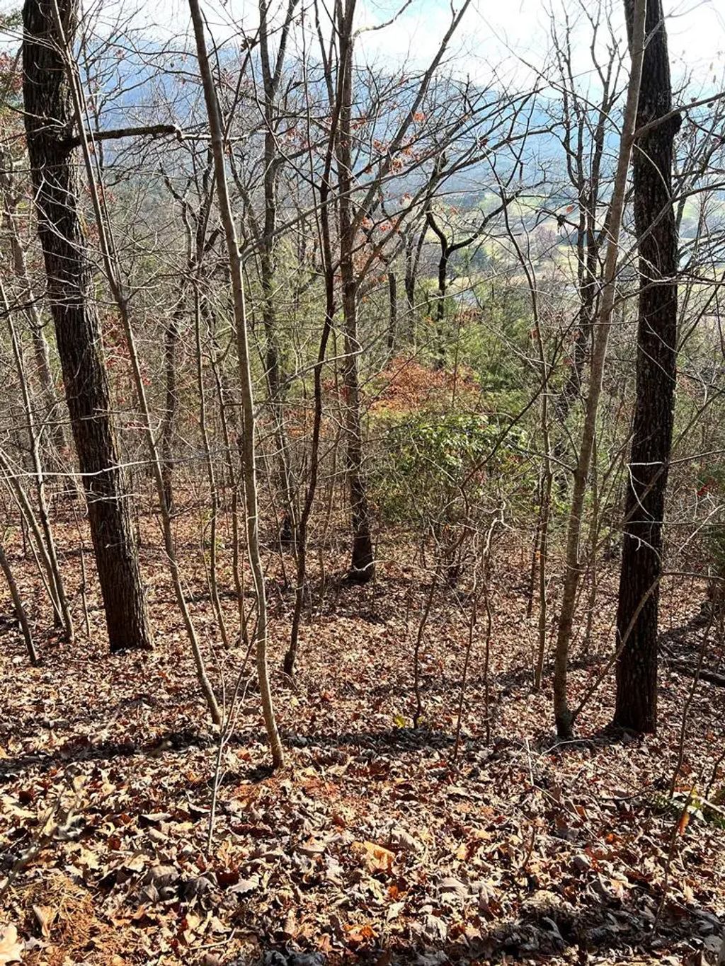 Lot 56c Indian Trail, Hayesville