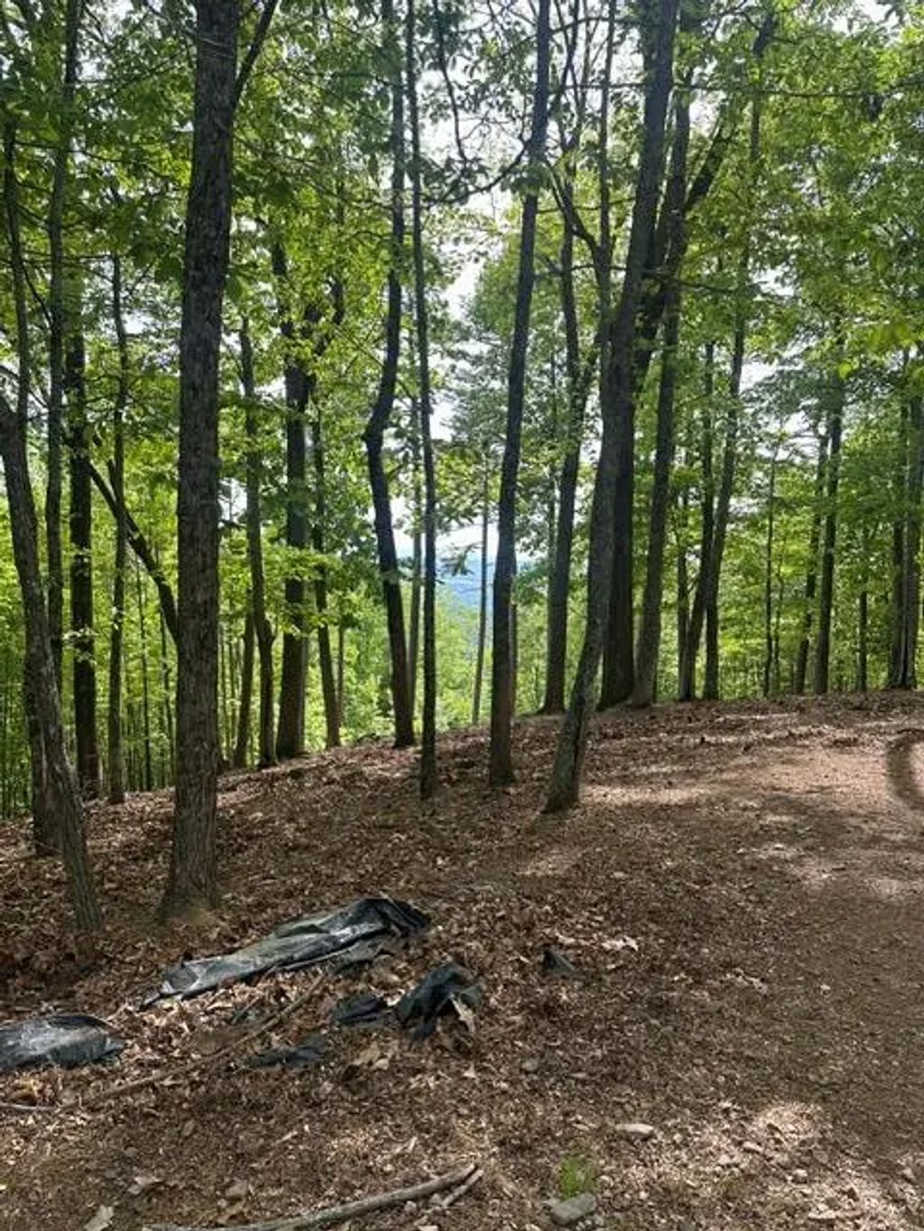 Lot 4 Hampton Knob, Notla