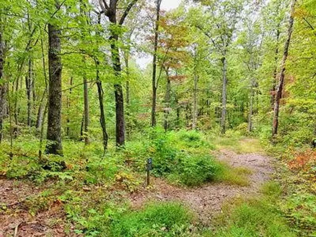 Lot 30 Skyview Drive, Shooting Creek