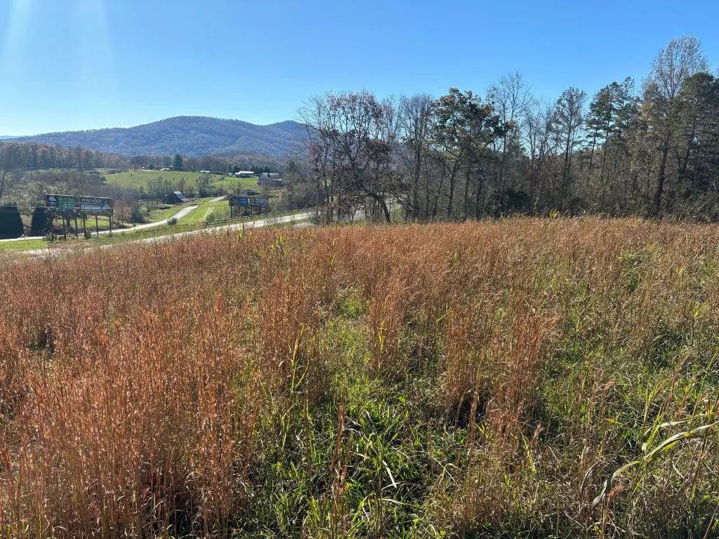 N/A, Hayesville