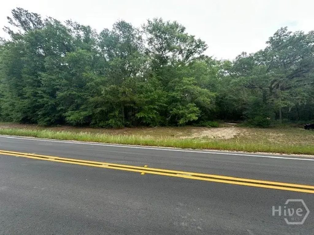 0 Old Louisville Road, Guyton