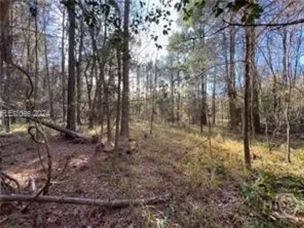 4637 Wire Road, Summerville