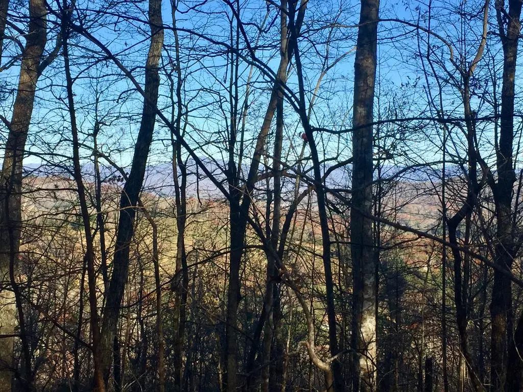 N/A, Hayesville