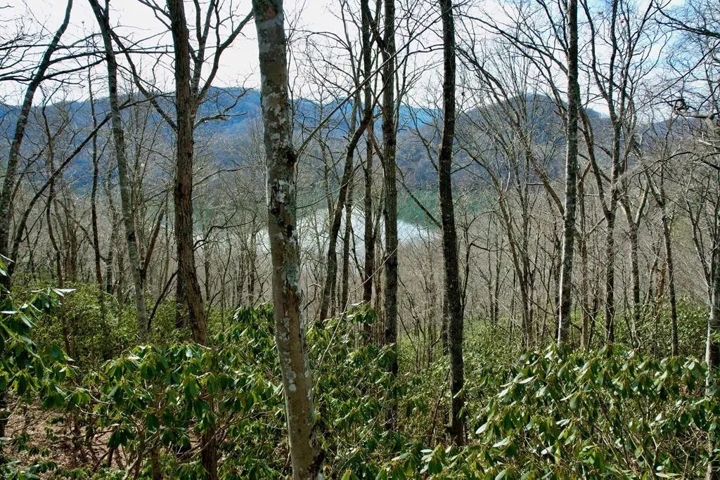 Lot#13 Holly Ridge Road, Topton