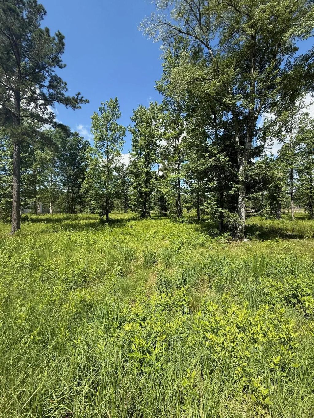 385 Shagbark Way, Columbia