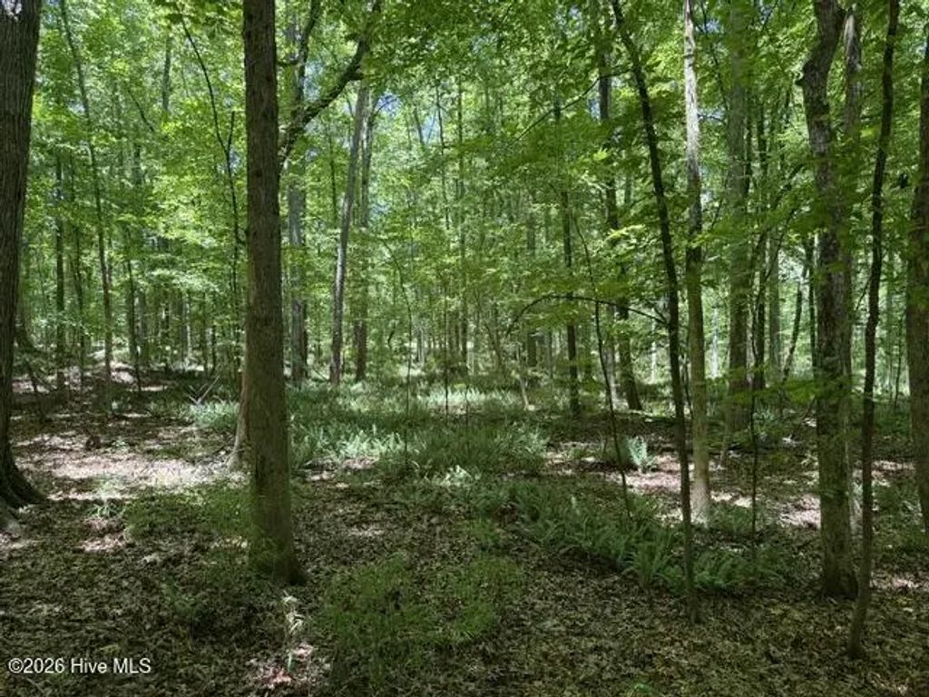 541 S Steel Bridge Road, Eatonton