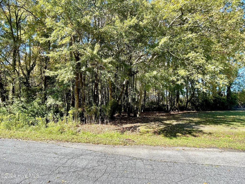 1239 Chance Boulevard, Parmele