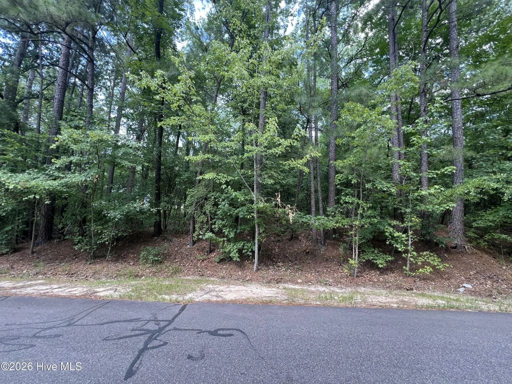 307 Thimbleberry Drive, Vass
